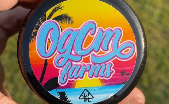 bun and cheese by ogcm farms strain review by jointsbyjalen