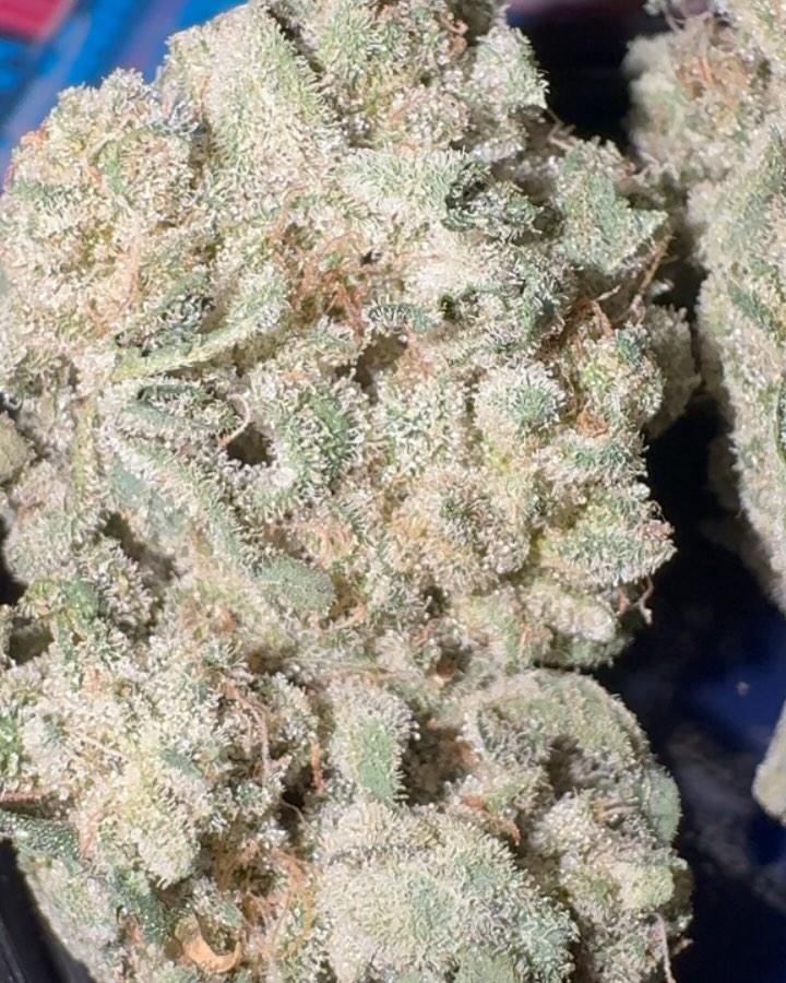 candy cake 9 by organic roots strain review by jointswithjalen 2