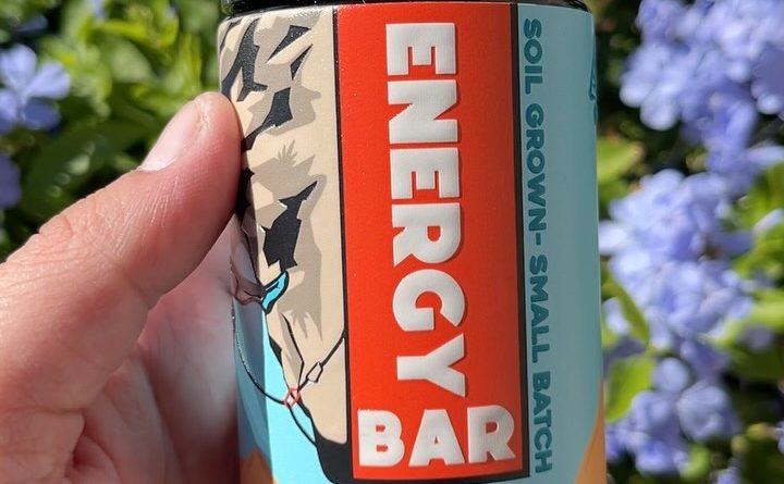 energy bar by gas up society strain review by fatcatreviewz