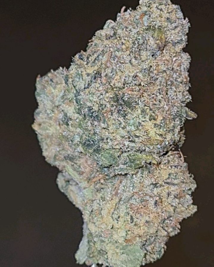 florida sunrise by jungle boys strain review by cannoisseurselections