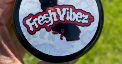 georgia pie by fresh vibez strain review by jointswithjalen