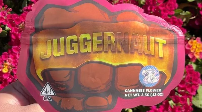 juggernaut by teds budz strain review by fatcatreviewz