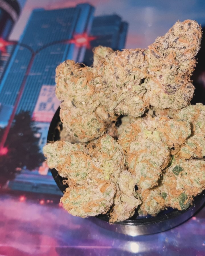 koogle by umami genetics strain review by jointswithjalen 2