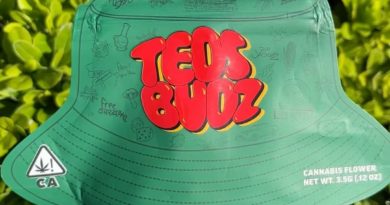 lemon tree by teds budz strain review by fatcatreviewz