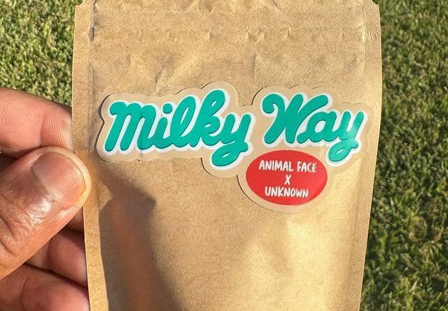 milky way by umami genetics strain review by jointswithjalen