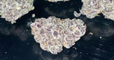 obama runtz by sattva california strain review by reviews_by_jude