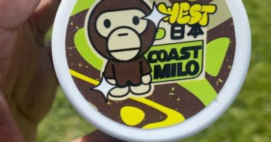 raimu by west coast milo strain review by jointswithjalen