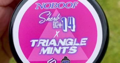 sherbet bx2 14 x triangle mints by no boof ltd strain review by jointswithjalen