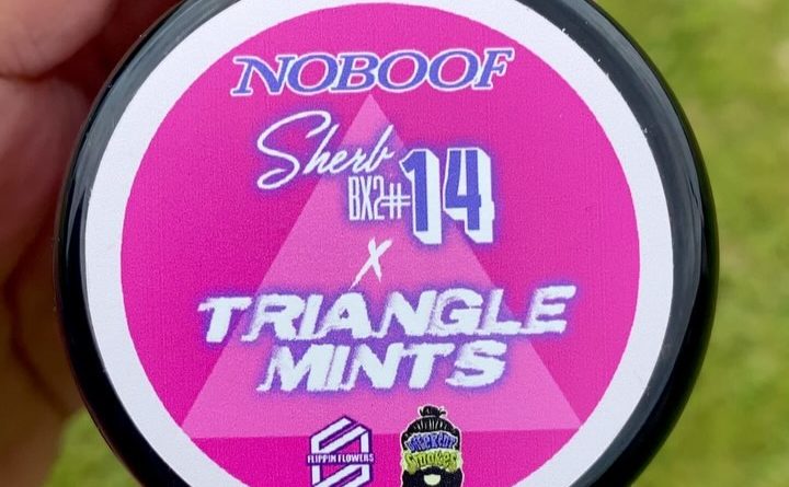 sherbet bx2 14 x triangle mints by no boof ltd strain review by jointswithjalen