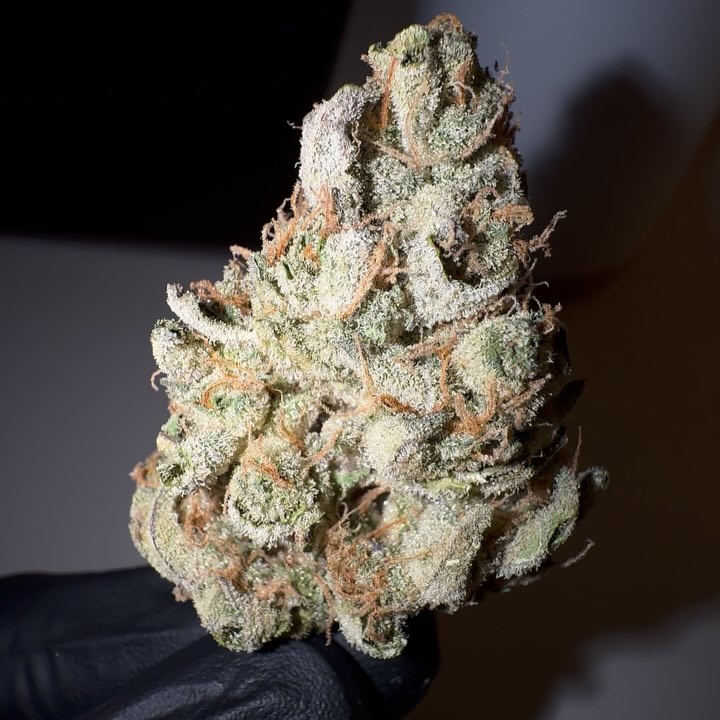 sweet n sour by cannabiotix strain review by eriksreviews