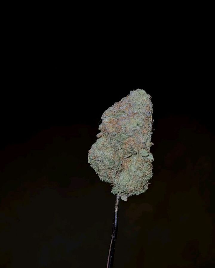 zkittlez by lab exotics strain review by cannoisseurselections