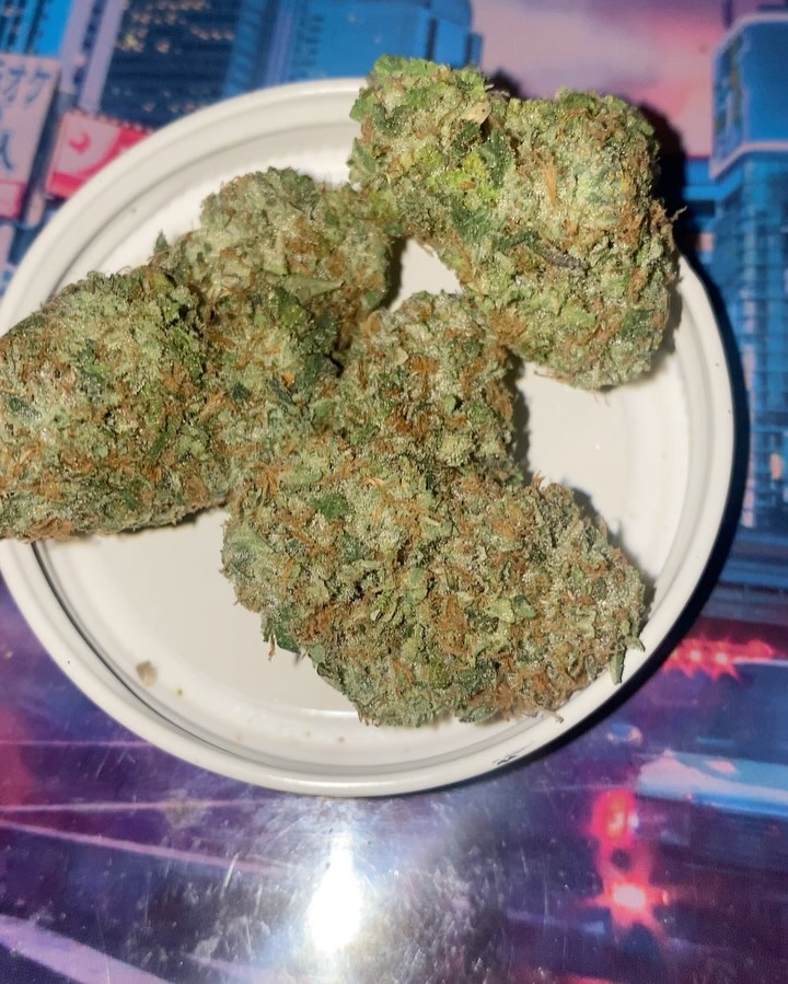 zkittlez by northbay gardens strain review by jointswithjalen 2