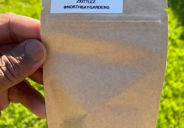 zkittlez by northbay gardens strain review by jointswithjalen