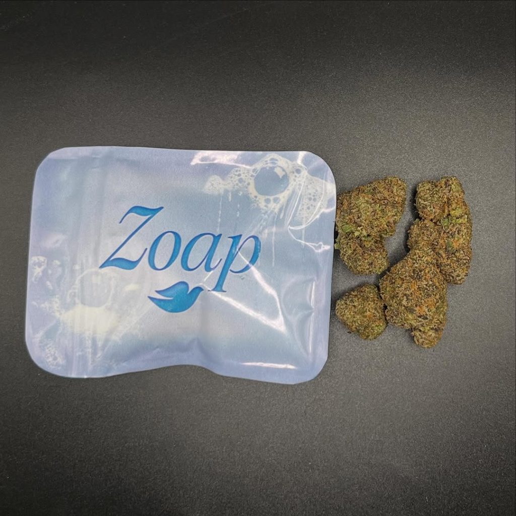 zoap by rotten broccoli exotics x high class genetics strain review by avergejoereviews2 2