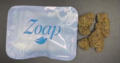 zoap by rotten broccoli exotics x high class genetics strain review by avergejoereviews2 2