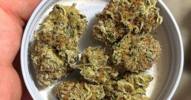 bananaconda by flower girl canada strain review by cannalyst