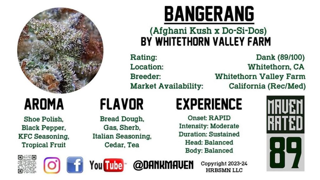 bangerang by whitethorn valley farm strain review by dank maven