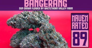 bangerang by whitethorn valley farm strain review by dank maven 2