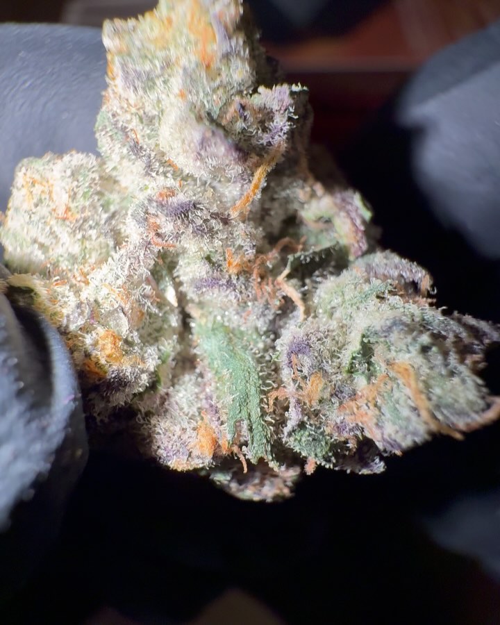 british delight by wizard trees strain review by eriksreviews