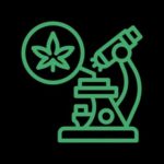 cannalyst logo