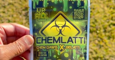 chemlatti by up the hill exclusive x teds budz strain review by jointswithjalen