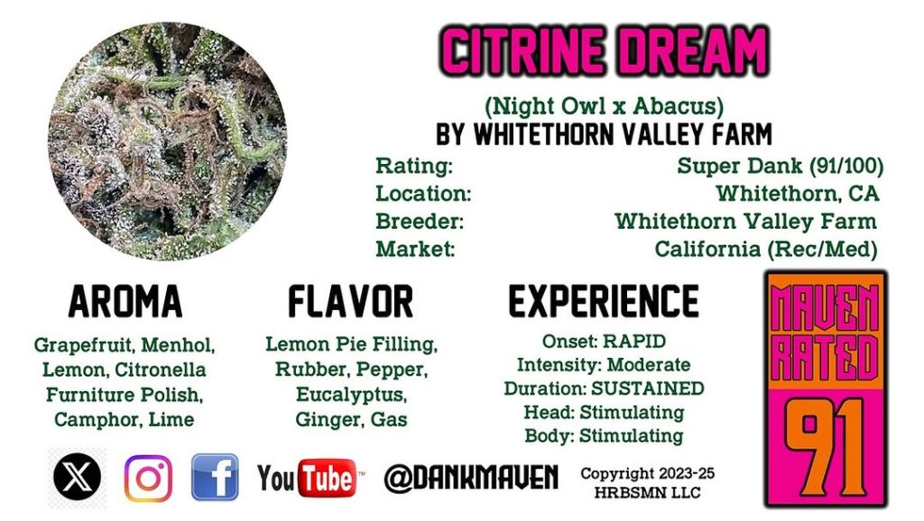 citrine dream by whitethorn valley farm strain review by dankmaven