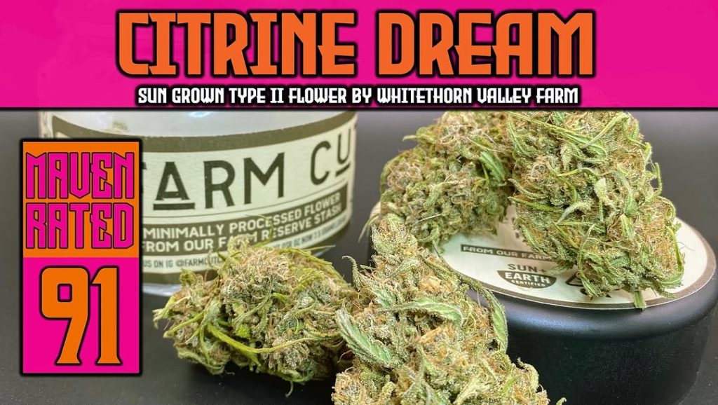 citrine dream by whitethorn valley farm strain review by dankmaven 2