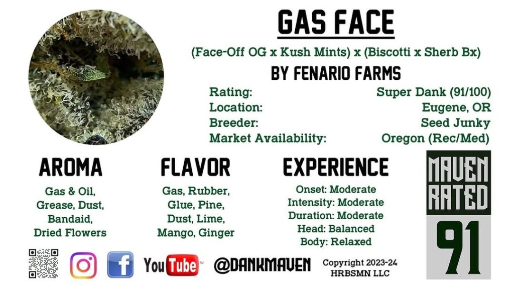 gas face by fenario farms strain review by dank maven