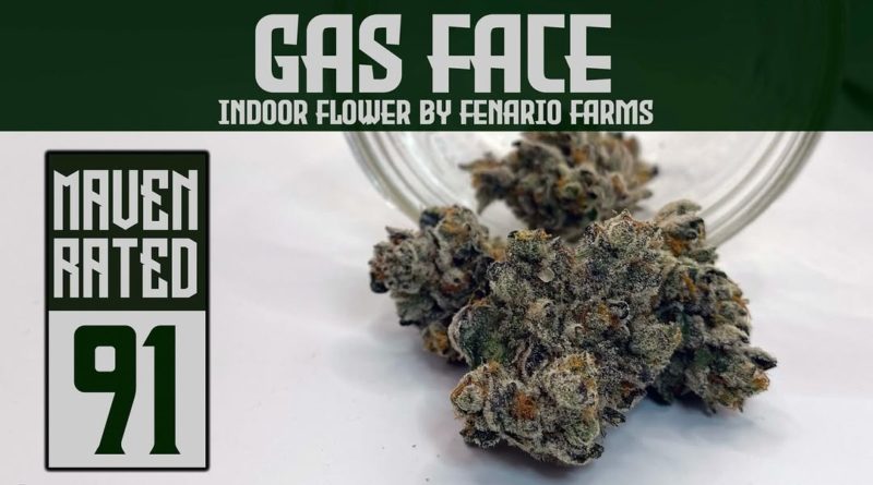 gas face by fenario farms strain review by dank maven 2