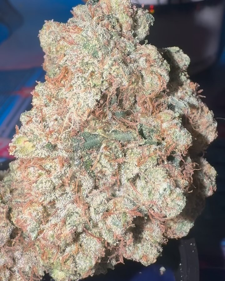 godfather og by high quality worldwide strain review by jointswithjalen 2