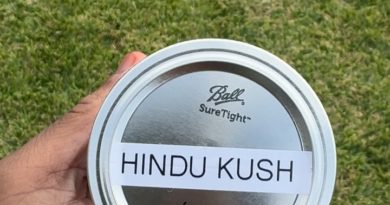 hindu kush by beneficial 718 strain review by jointswihtjalen