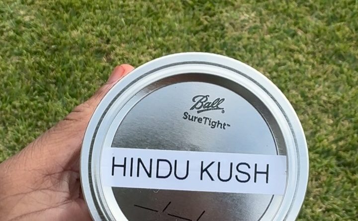 hindu kush by beneficial 718 strain review by jointswihtjalen