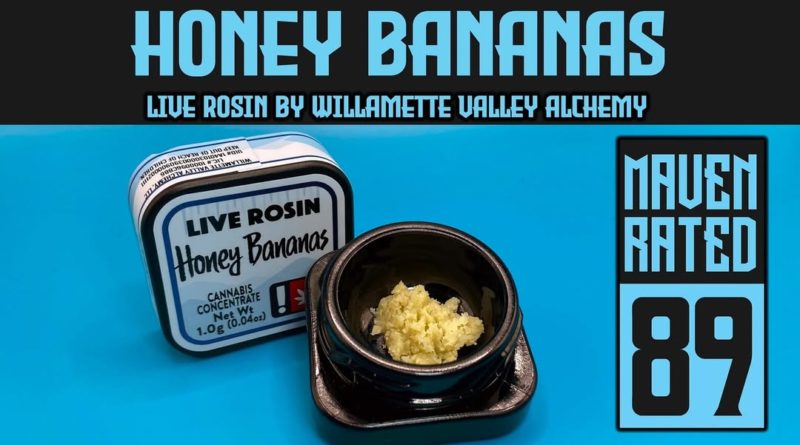 honey bananas live rosin by willamette valley alchemy hash review by dank maven 2