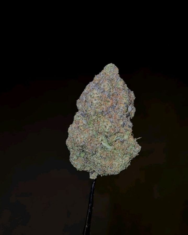 kuroge by grandiflora genetics strain review by cannoisseurselections