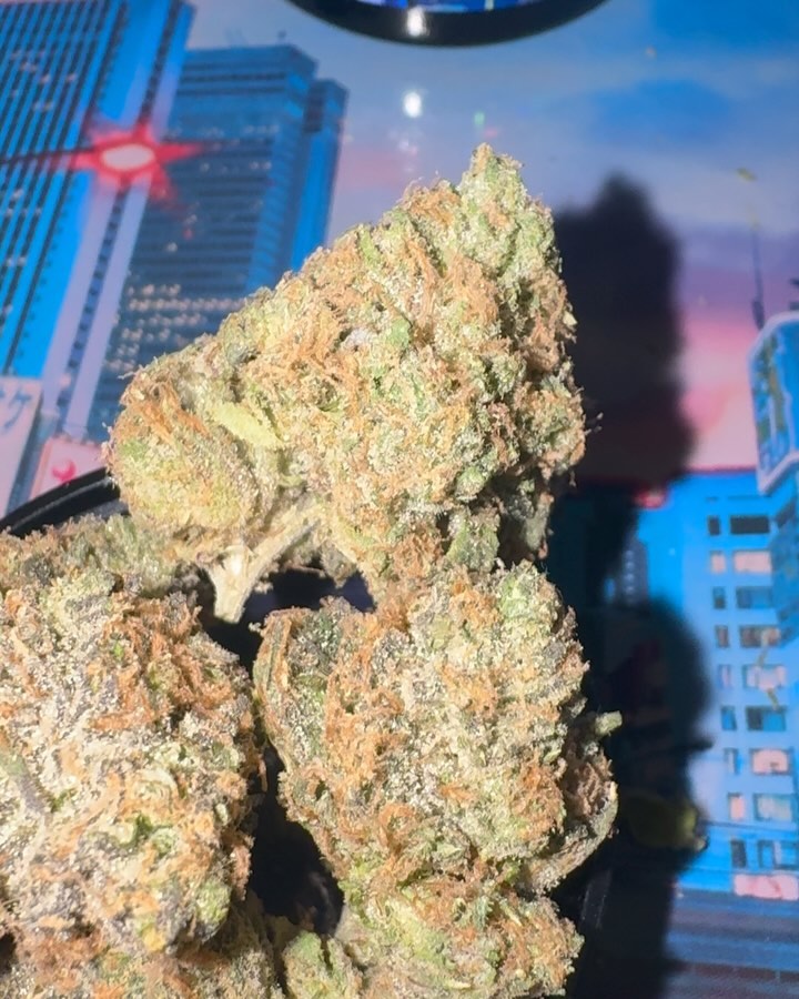 mega z blue by super dope strain review by jointswithjalen 2