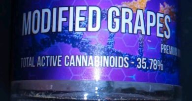 modified grapes by pearl pharma strain review by stoneybearreviews