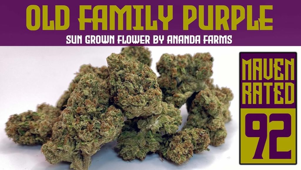 old family purple by ananda farms strain review by dank maven 2