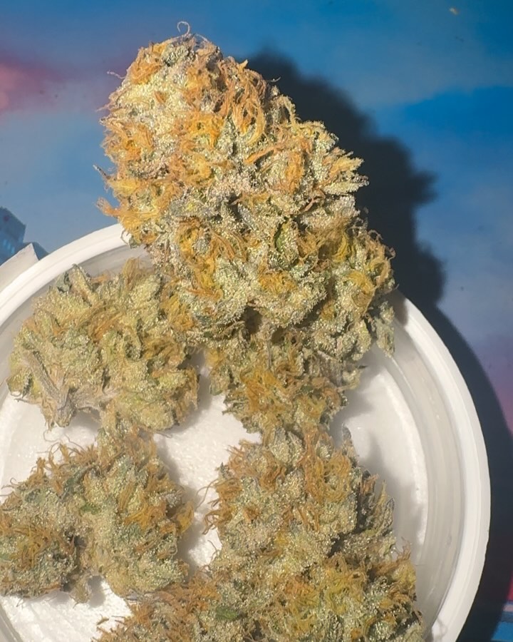 rs11 by beneficial_718 strain review by jointswithjalen 2