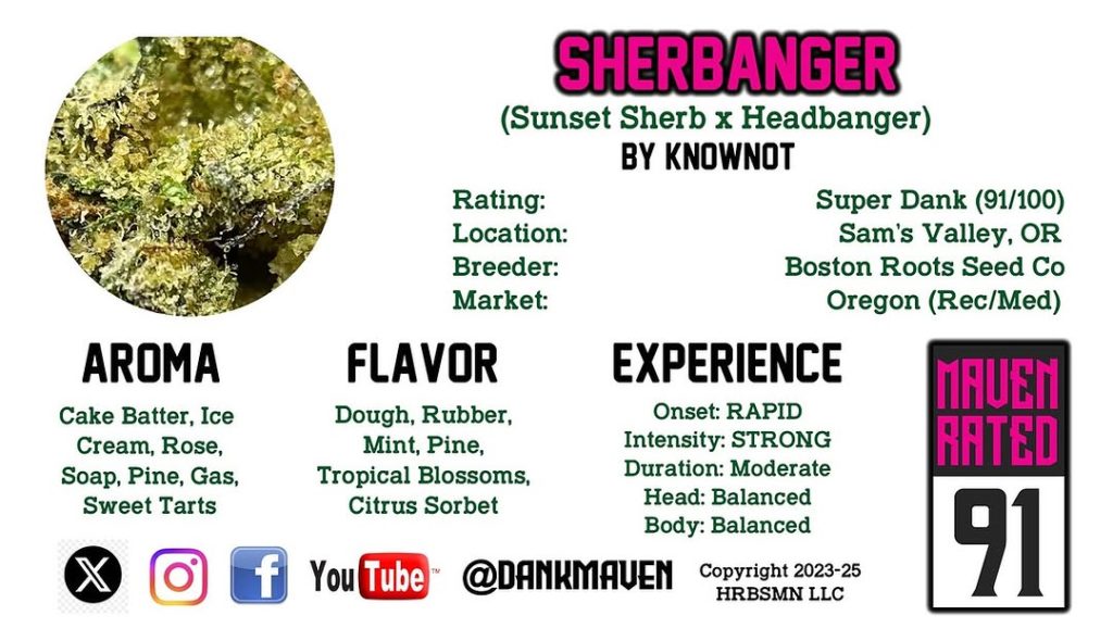 sherbanger by knownot strain review by dank maven