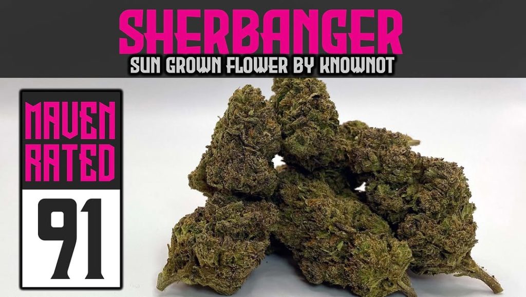 sherbanger by knownot strain review by dank maven 2