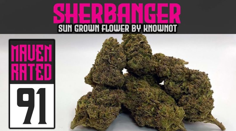 sherbanger by knownot strain review by dank maven 2