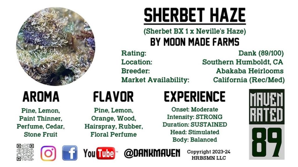 sherbet haze by moon made farms strain review by dank maven