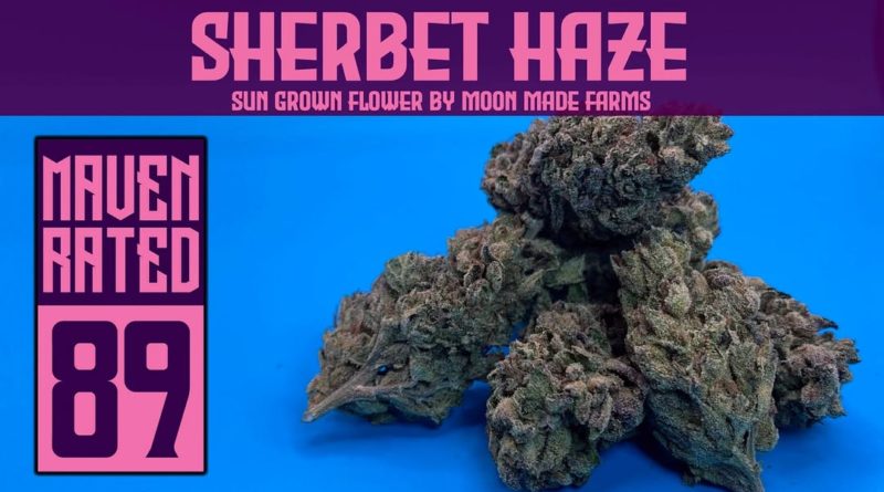 sherbet haze by moon made farms strain review by dank maven 2