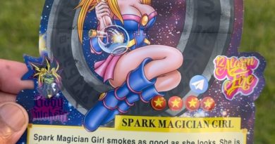 spark magician girl by 12 alarm fire x teds budz strain review by jointswithjalen