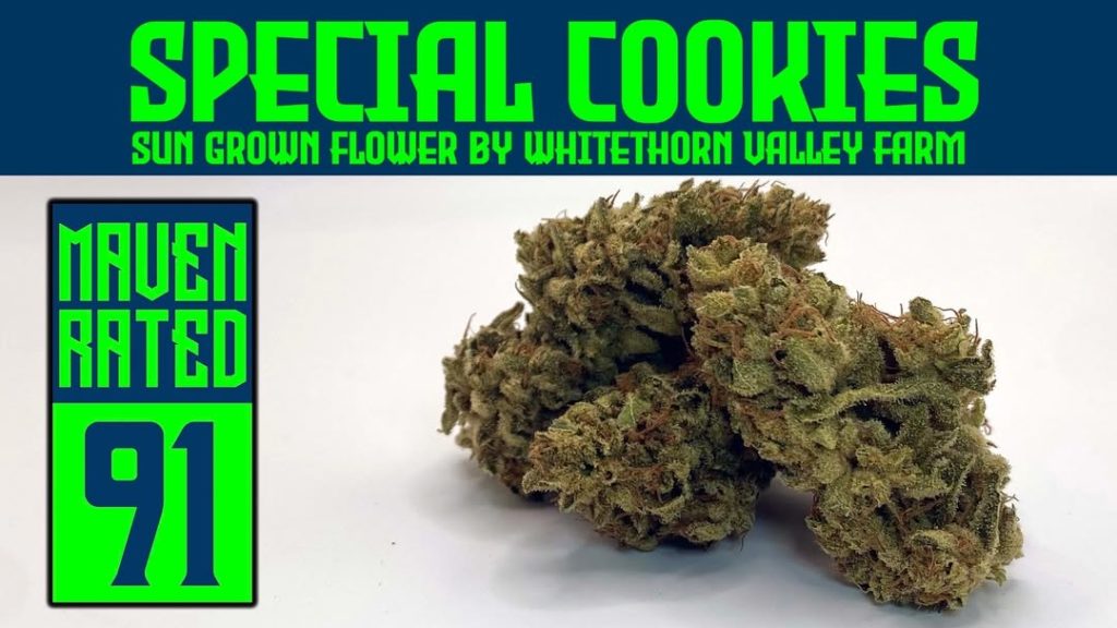 special cookies by whitethorn valley farm strain review by dank maven 2