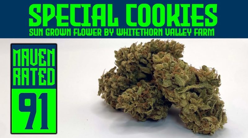 special cookies by whitethorn valley farm strain review by dank maven 2