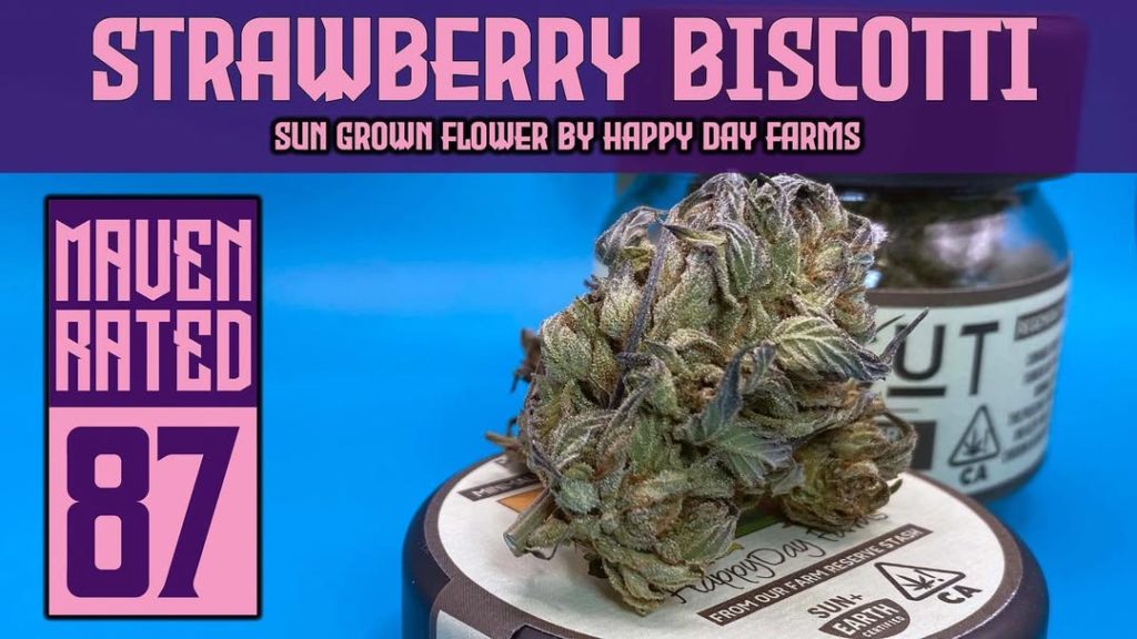 strawberry biscotti by happy day farms strain review by dank maven 2