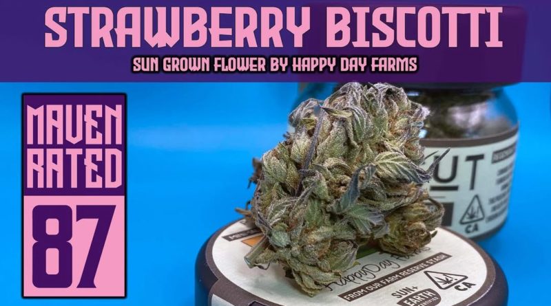 strawberry biscotti by happy day farms strain review by dank maven 2