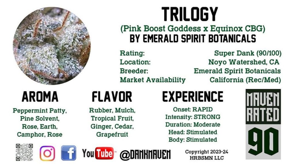 trilogy by emerald spirit botanicals strain review by dank maven 2