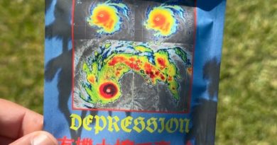 tropical depression by watson supply strain review by jointswithjalen